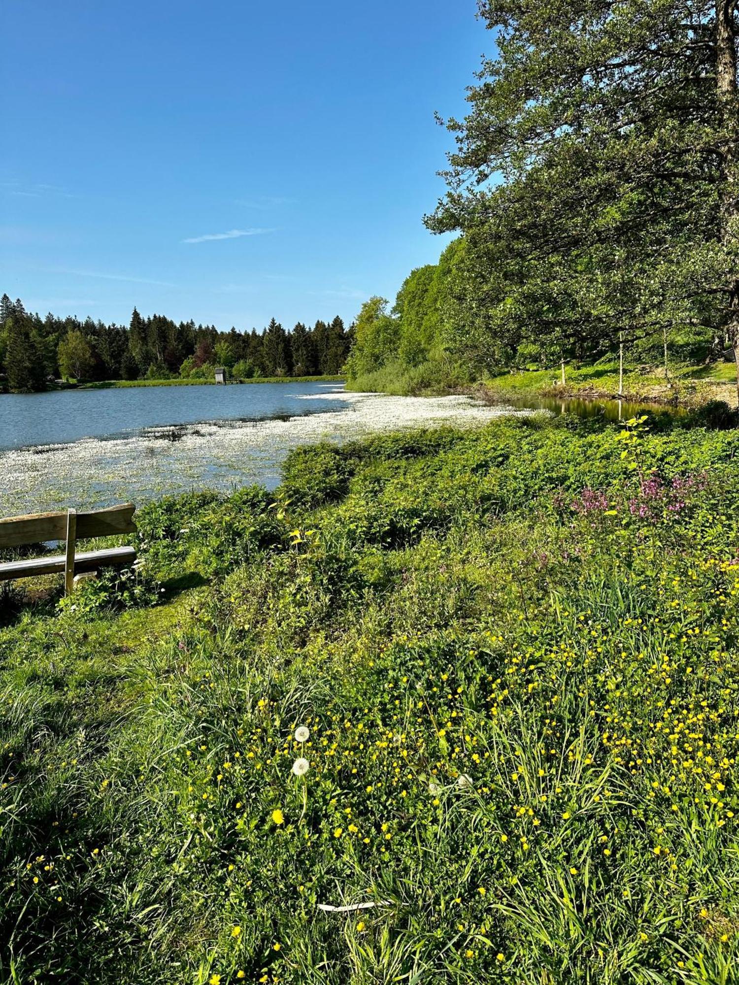 Ferienwohnung Waldgaenger Hahnenklee Goslar Kültér fotó