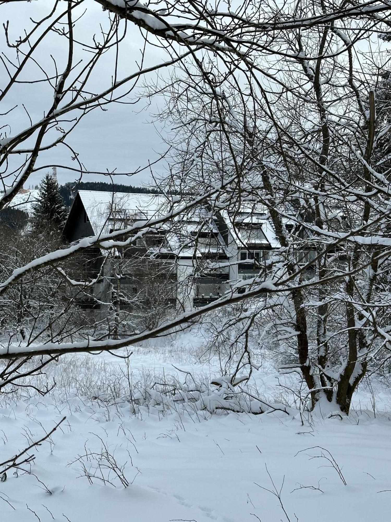 Ferienwohnung Waldgaenger Hahnenklee Goslar Kültér fotó