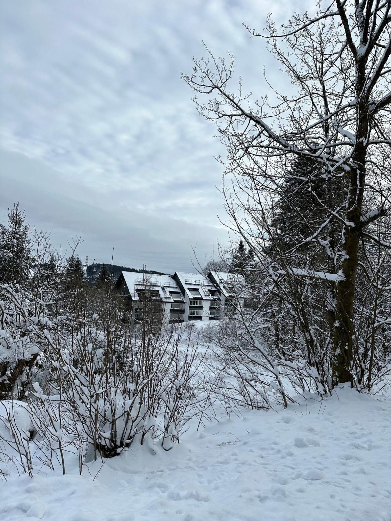 Ferienwohnung Waldgaenger Hahnenklee Goslar Kültér fotó